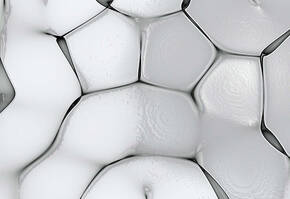 Fatty Acid Banner